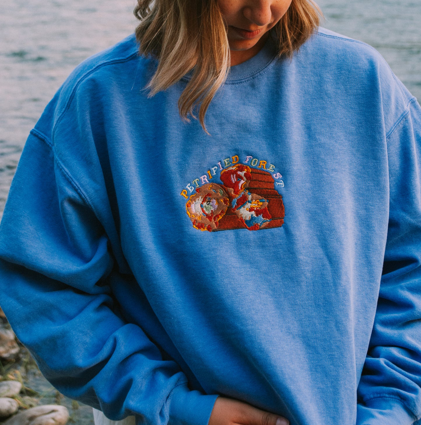 Petrified Forest National Park Sweatshirt *MADE TO ORDER*